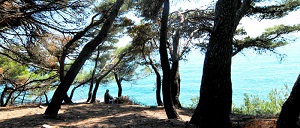 Turistička organizacija Ulcinj Prirodne lepote Ulcinja Borova šuma